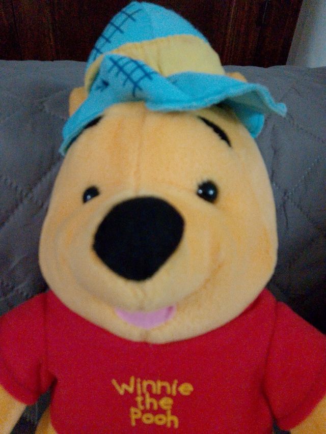 Winnie the Pooh Originale cm 28