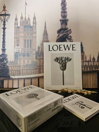 Loewe Solo EDT 75ml