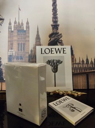 Loewe Solo EDT 75ml