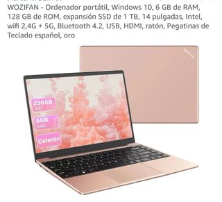 WOZIFAN Portátil Oro 14 Intel Celeron 6GB RAM