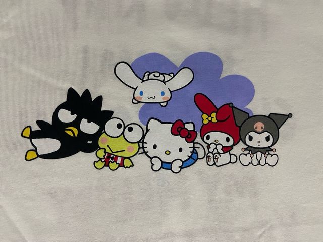 Camisa Hello Kitty & Friends Zara T. 11-12