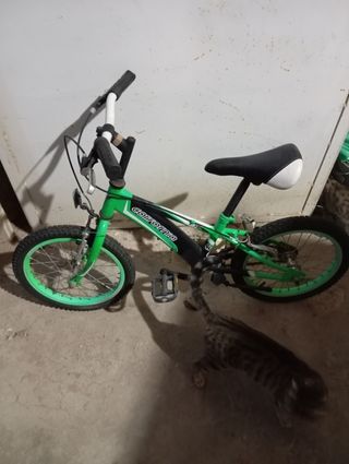 Bicicleta infantil verde California