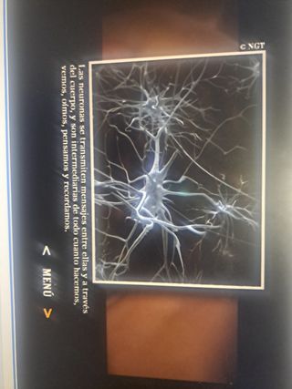 DVD El Increíble Cuerpo Humano National Geographic