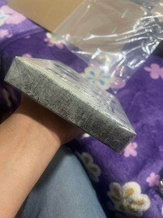 Days Gone Edición Especial PS4 Precintado