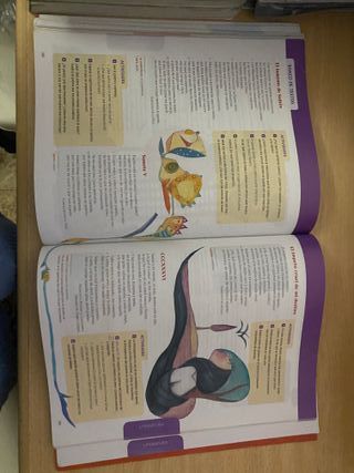 LENGUA CASTELLANA Y LITERATURA 3 eso