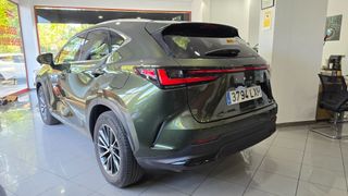 Lexus NX 450h+ Executive 4WD