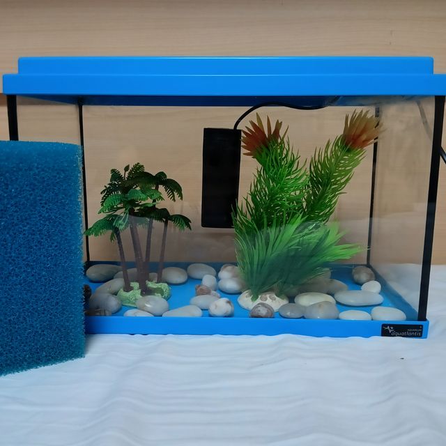Pack pecera Aquarium Aquarlantis
