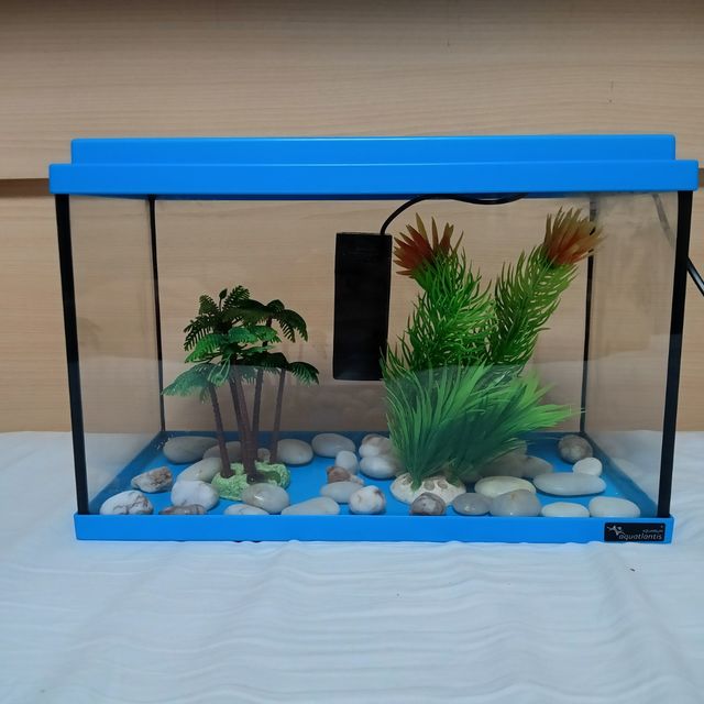 Pack pecera Aquarium Aquarlantis