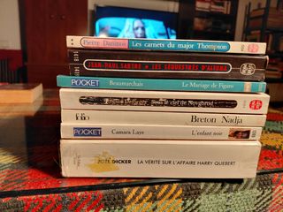 Lote de novelas varias en francés.