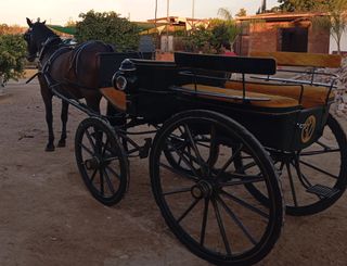 Coche de caballos 