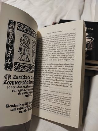 Lazarillo de Tormes (Letras Hispánicas) (Spanis...