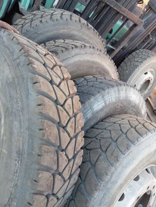 8 Ruedas Camión Michelin