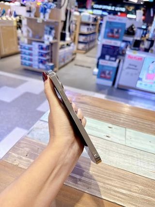 iPhone 13 Pro Max Dorado