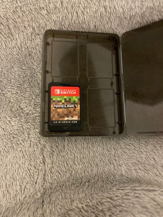 Minecraft Nintendo Switch