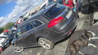 Despiece Opel Insignia Hatchback 2.0 Cdti (160 Cv