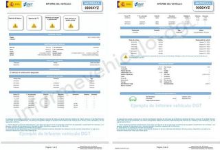 Informes De Vehículos Completo