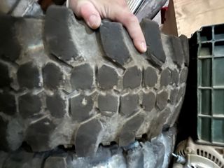 Neumático 31 pulgadas