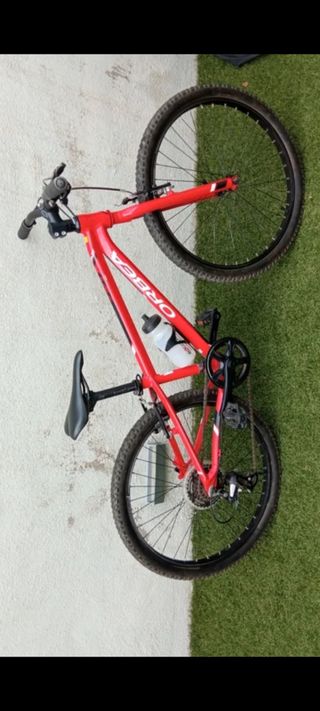 Bicicleta Orbea MX24 TEAM.