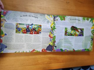 Libro infantil desplegable 