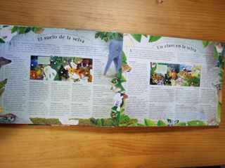 Libro infantil desplegable 
