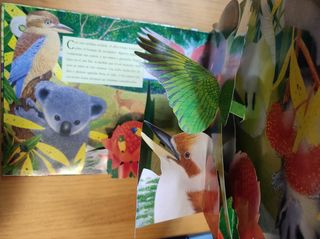 Libro infantil desplegable 
