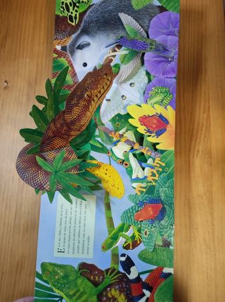 Libro infantil desplegable 
