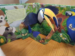 Libro infantil desplegable 