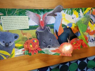 Libro infantil desplegable 