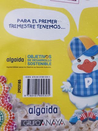 Proyecto educacional infantil