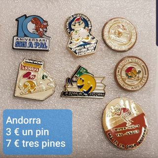 Pins de esquí