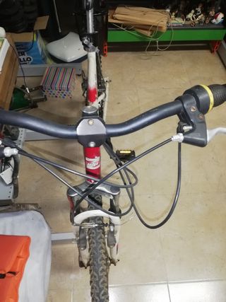 Bicicleta MTB, mujer y hombre