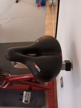 Bicicleta de Spinning BH SB2