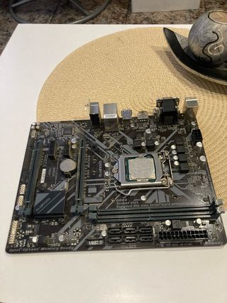 Placa Base Gigabyte B365M HD3