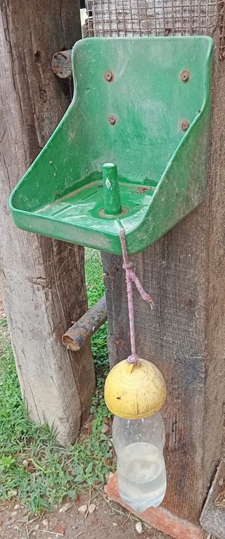 Porta blocco sale cavalli