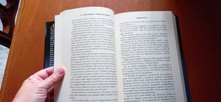 Il segreto del bosco. Night school C. J. Daugherty