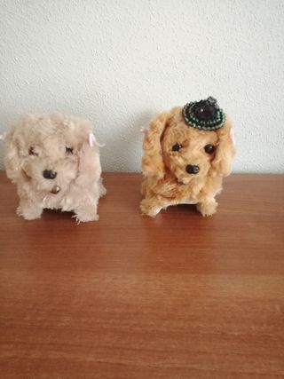 Perritos Saltarines Musicales