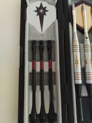 Juego de dardos profesional