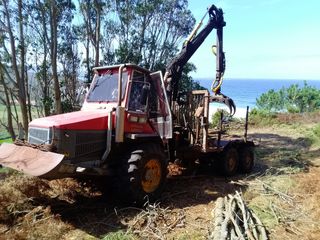 Autocargador Forestal Forcar