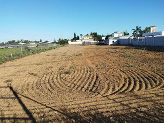 Terreno en venta en La Jara en Sanlúcar de Barrameda