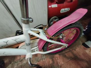 Bicicleta infantil niña/niño