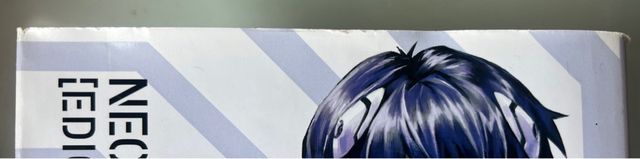 NEON GENESIS EVANGELION 01. ED. COLECCIONISTA