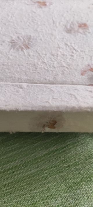 Álbumes de fotos orgánicos con flores