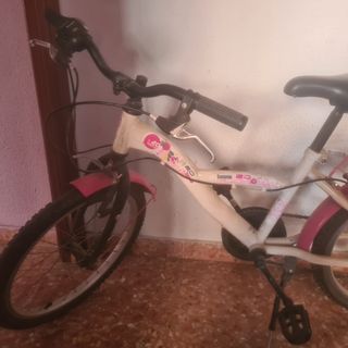 Bicicleta infantil niña 20 pulgadas