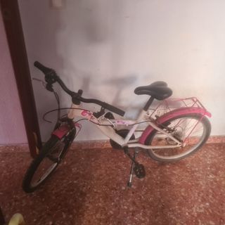 Bicicleta infantil niña 20 pulgadas