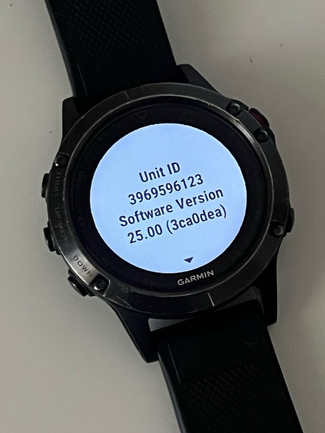 Garmin Fenix 5 Negro