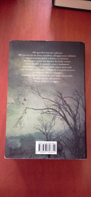 Kerstin Gier Silver romanzo