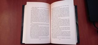 Kerstin Gier Silver romanzo