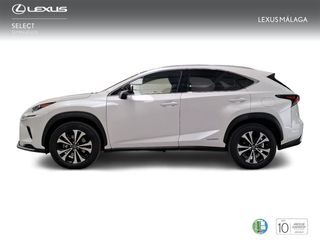 Lexus NX 2.5 300h Premium 2WD