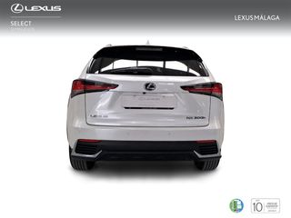 Lexus NX 2.5 300h Premium 2WD