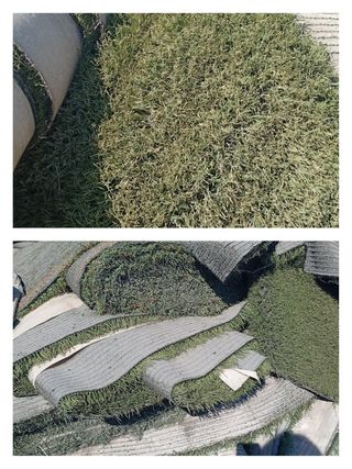 Venta césped